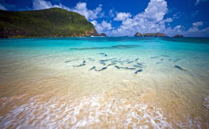 Lord Howe Island, New South