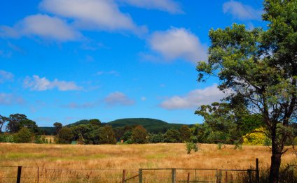 New South Wales Landscape