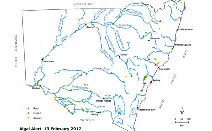 Map of algal alerts in New