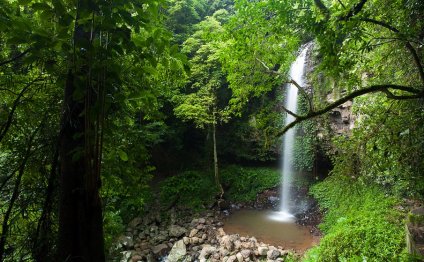 Bellingen New South Wales