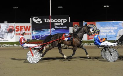 Photo: New South Wales Harness