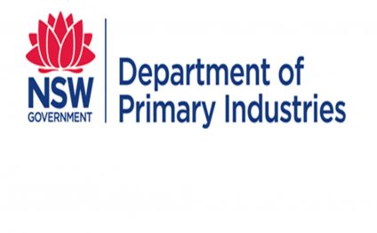 New South Wales Department of