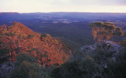 Megalong Valley, NSW