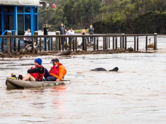 australia-storm-8.jpg