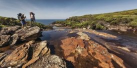 Eagle Rock, Royal Nationwide Park. Picture: D Finnegan/OEH.