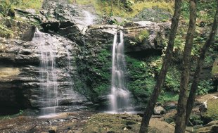 Fairy Bower Falls, Bundanoon