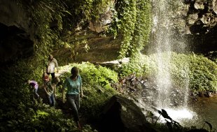 Family at Dorrigo National Park, Dorrigo