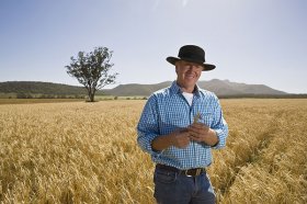 Farmer in wheat field