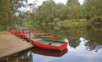 Lane Cove River, Lane Cove National Park. Picture: K McGrath/OEH.