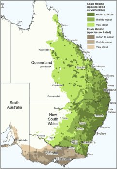 Map showing koala distribution