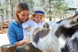 Mini Zoo, Wagga Wagga Botanic Gardens