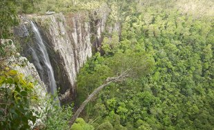 Minyon Falls, Nightcap nationwide Park