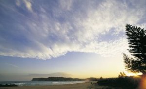 Scenic landscape of beach at Terrigal, Central Coast