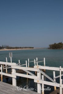 the jaaning tree, nambucca minds