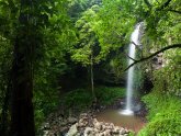 Bellingen, New South Wales