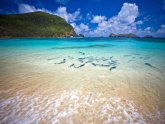 Lord Howe Island, New South Wales