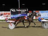 New South Wales Harness Racing