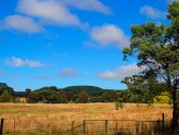 New South Wales landscape