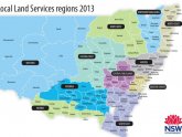 Services New South Wales