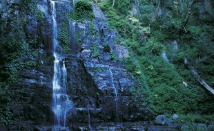 Upper Minnamurra Falls, Kiama region