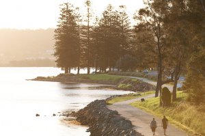 Warners Bay